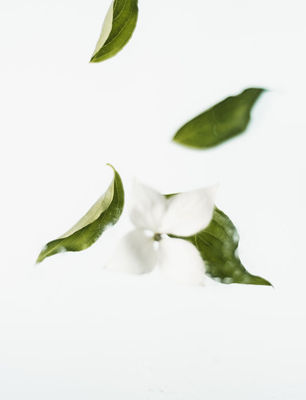 Clean beauty? the latest beauty trend!